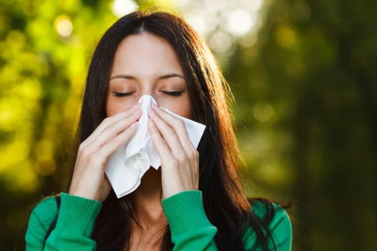 Metodo per far passare l'allergia in poco tempo